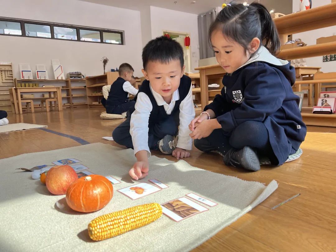 青岛双语幼儿园.jpg
